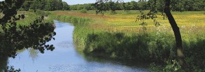 Camping Drenthe Veenmeer - camping met goede voorzieningen in Nationaal Park Drentsche Aa