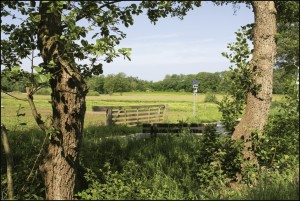 Camping Drenthe Veenmeer - camping met goede voorzieningen in Nationaal Park Drentsche Aa