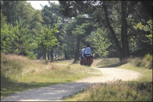 Camping Drenthe Veenmeer - camping met goede voorzieningen in Nationaal Park Drentsche Aa