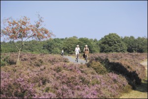 Camping Drenthe Veenmeer - camping met goede voorzieningen in Nationaal Park Drentsche Aa