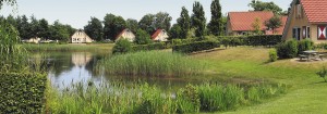 Camping Drenthe Veenmeer - camping met goede voorzieningen in Nationaal Park Drentsche Aa