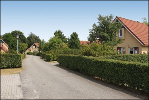 Bungalowpark Drenthe Akenveen - camping met goede voorzieningen in Nationaal Park Drentsche Aa